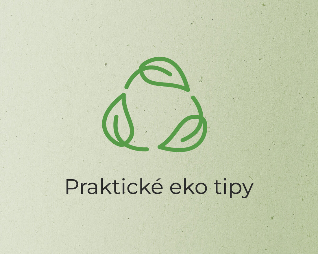 Jak žít ekologicky: Praktické eko tipy pro každodenní život - GoodWays